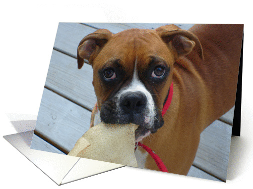 Boxer greeting card (295518)