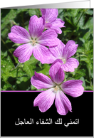 Get Well In Arabic Clematis Flowers I Wish You A Speedy 1405592