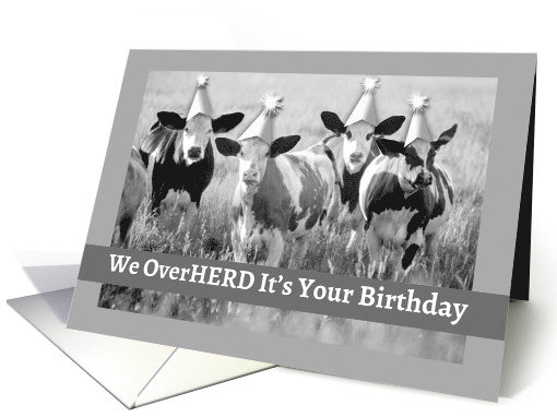 From All of Us Funny Birthday with Big Eared Cattle in Party Hats card