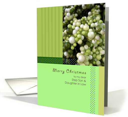 Merry Christmas to my dear Step Son & Daughter in Law, green bean card