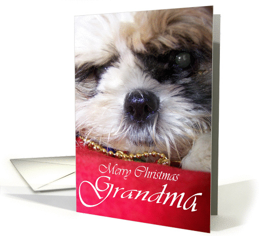 Merry Christmas - Grandma card (299425)