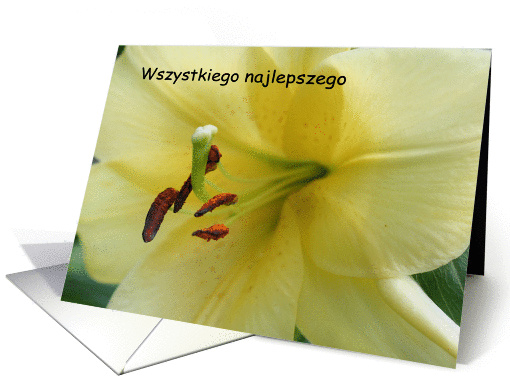 Polish Birthday Greeting Card Lily Flower Photo card (301994)