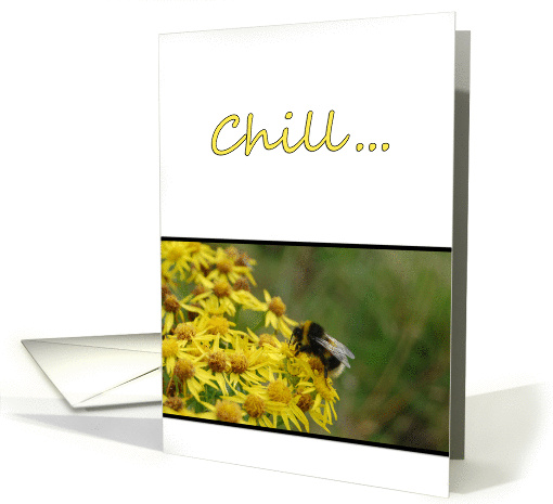 Just Chill! 4 card (303604)