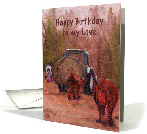 Birthday Man - cattle card (289250)