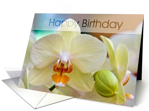 Orchid card (414666)