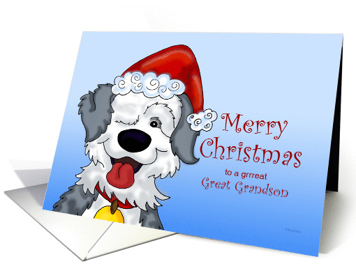 Sheepdog's Christmas - for Great Grandson card (918077)