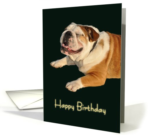 Smiling Bulldog Birthday card (537653)