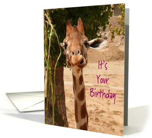 Giraffe Tall One Birthday card (585318)