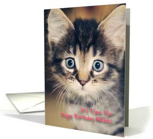Kitten Birthday card (814407)