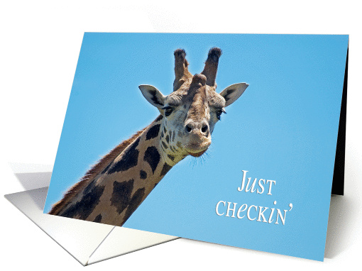 Just Checkin' - Giraffe - Birthday Friend card (359402)