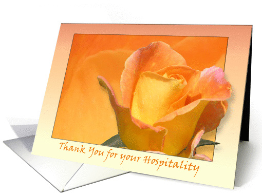 Thank you for Your Hospitality card (377495)