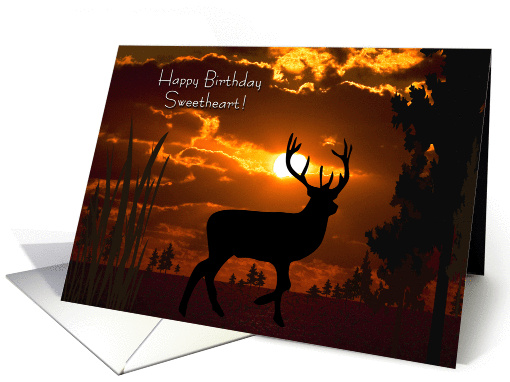Happy Birthday Sweetheart card (370303)