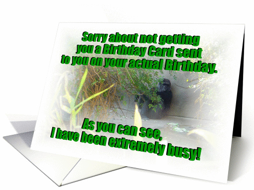 Belated Birthday card (333146)