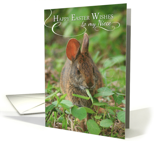 Happy Easter Wishes for Niece with Bunny Rabbit Photo card (372159)