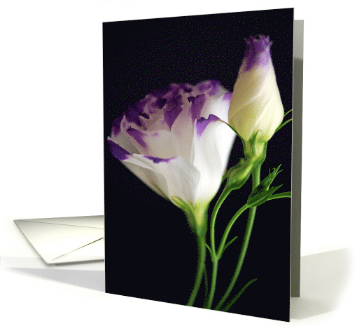 Happy Mother's Day card (408937)
