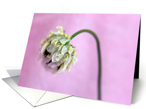 Happy Mother's Day card (412676)