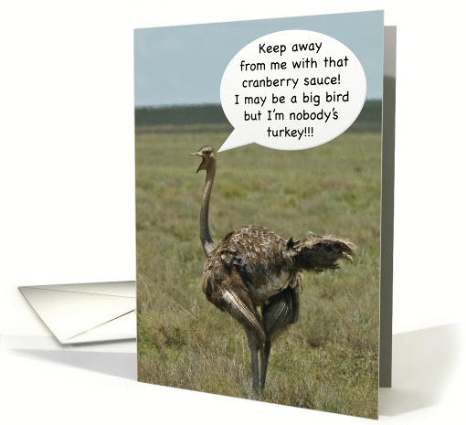 Ostrich advice for a Happy Thanksgiving card (973569)