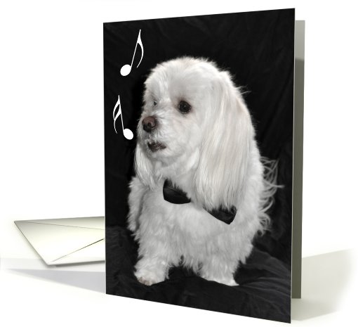 Happy Birthday, The Singing Dog card (787927)