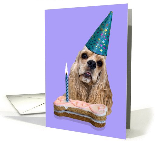 Happy Birthday Card - featuring a buff American Cocker Spaniel card