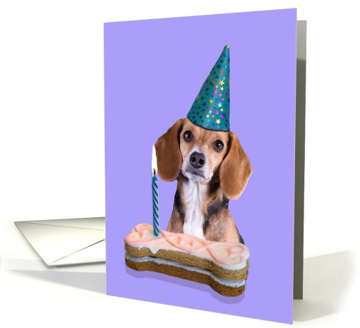 Happy Birthday Card - featuring a Beagle card (625549)
