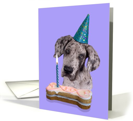 Birthday Card featuring a Great Dane Puppy card (791905)