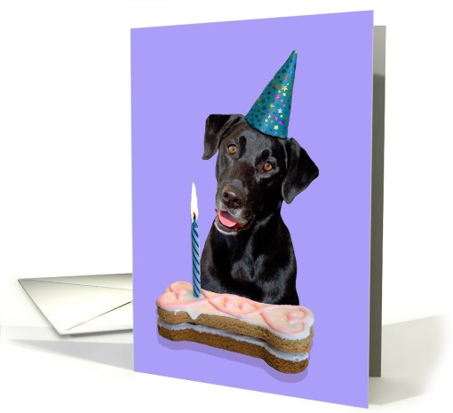 Birthday Card featuring a black Labrador Retriever card (794786)