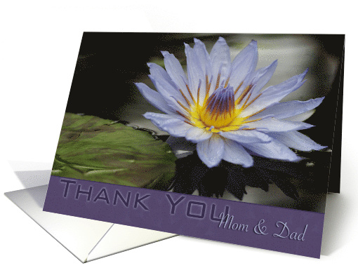 Thank You Mom and Dad Lavender Water Lily with Lily Pad card (849845)