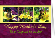 Mother s Day Cards for Co worker from Greeting Card Universe