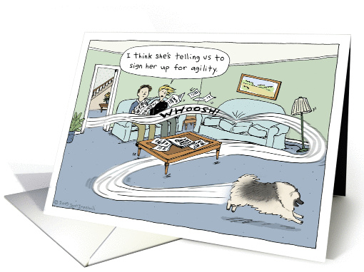 Keeshond Dog Cartoon Happy Birthday card (892132)