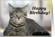 Happy Birthday Tabby Cat! card