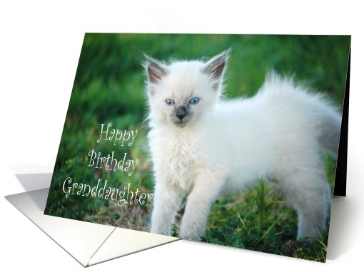 Birthday/grandaughter card (475746)