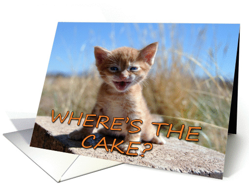 Where's the cake? card (851627)