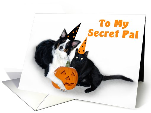 Halloween Dog and Cat, Secret Pal card (481214)