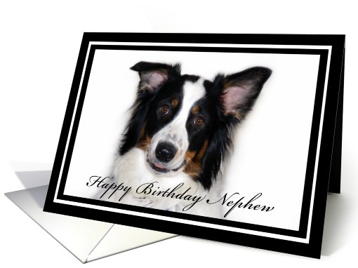 Australian Shepherd Happy Birthday Nephew card (482257)