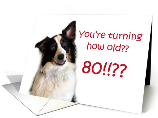 Dog Years, Birthday 80 Years Old card (605402)