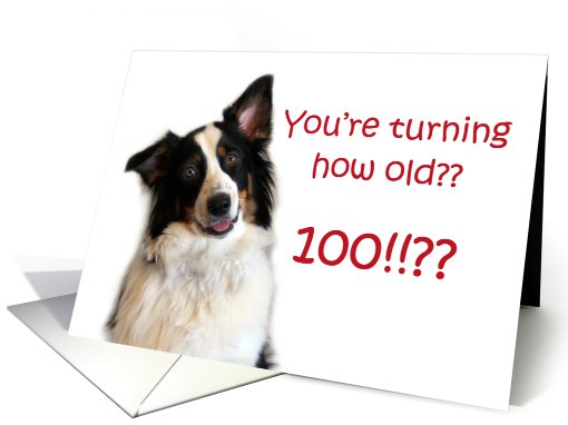 Dog Years, Birthday 100 Years Old card (605431)