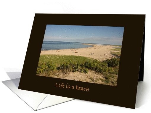 Happy Birthday Life is a Beach card (837808)