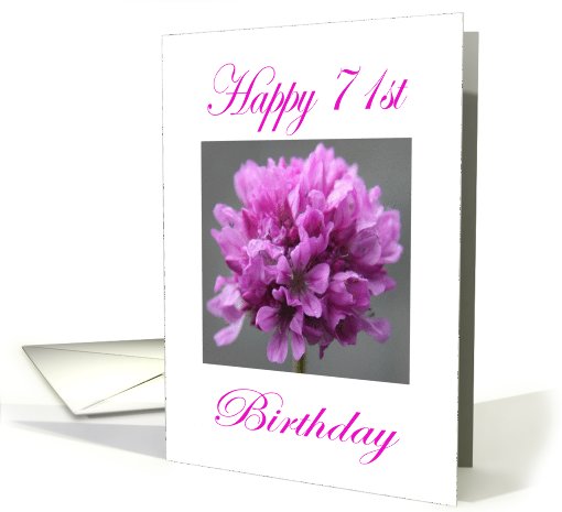 Happy 71st Birthday Purple Flower card (752844)