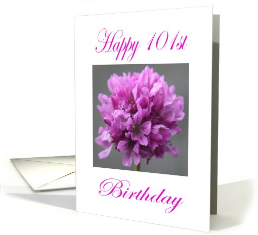 Happy 101st Birthday Purple Flower card (755145)