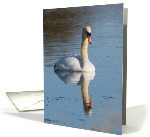 Beautiful Swan Reflection Birthday Wishes card (495665)