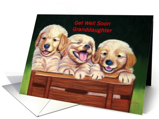 Get Well Soon Granddaughter with puppy's card (667815)