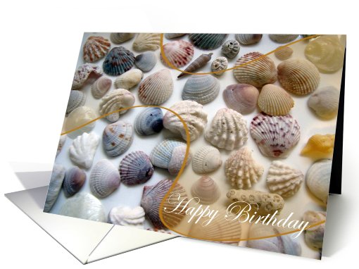 Happy Birthday Seashells card (693569)