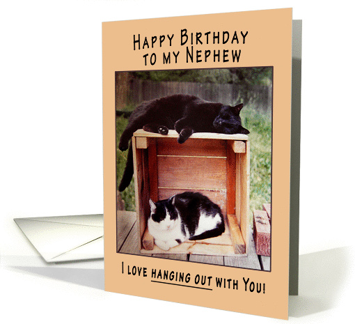 Nephew Happy Birthday Cats on Crate card (834568)