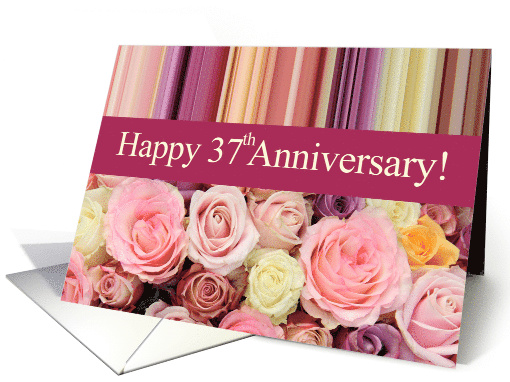 37th 2024 wedding anniversary