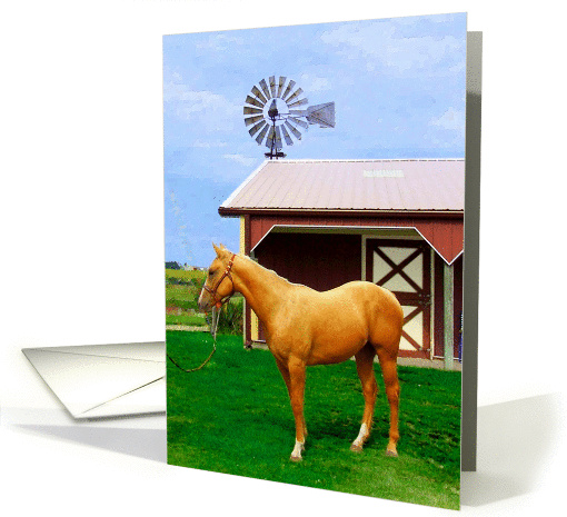 Palomino Horse Birthday Greeting card (539156)