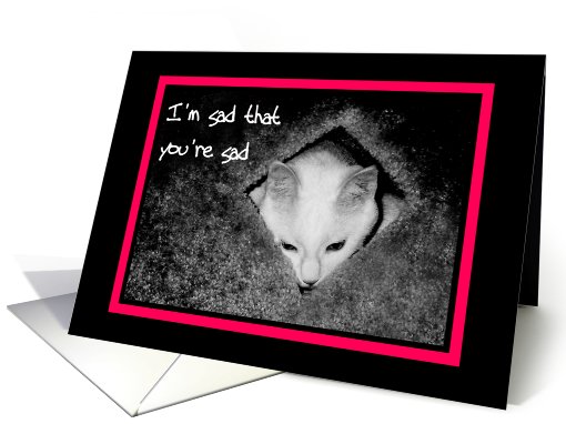 I'm sad that you're sad - sad cat looking downward card (611659)