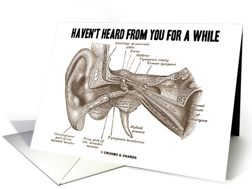 Haven't Heard From You For A While (Gray's Anatomy Ear Canal) card