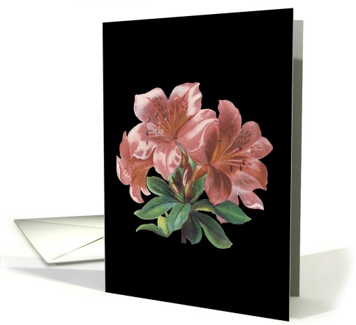 Pink Lilies Birthday card (605890)