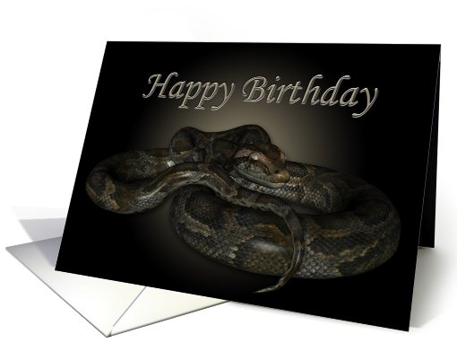 Happy Birthday for the Snake lover ~ python card (702877)