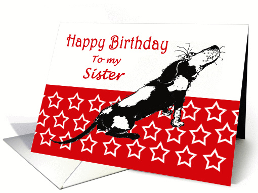 Happy Birthday,to my sister,sad black and white... (1296810)